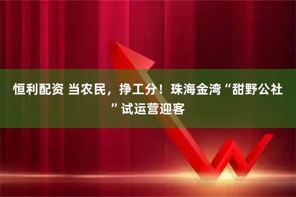 恒利配资 当农民，挣工分！珠海金湾“甜野公社”试运营迎客